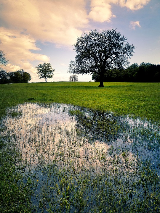 Österreicher zweifeln an der EU: Stagnation statt Lösungen!