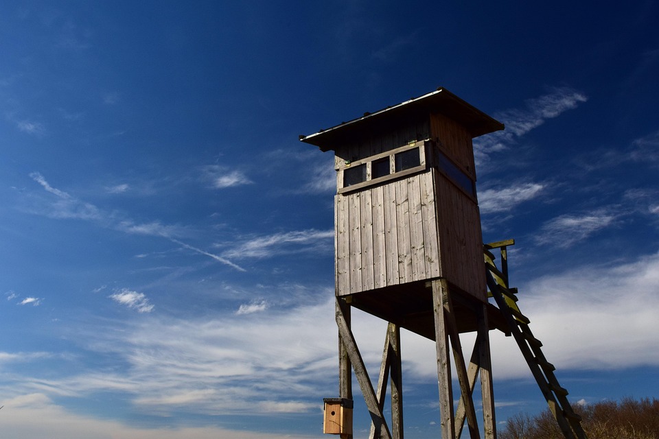 Österreichs Rodel-Duo jagt Gold: Neuer Streckenrekord in Cortina!
