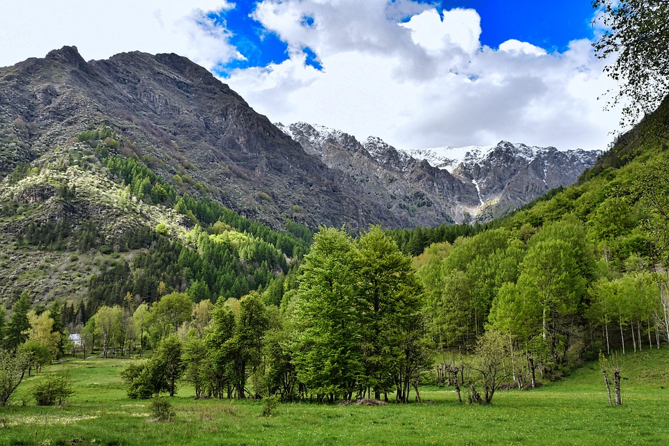 Österreichs alpine Superstars: Medaillenregen bei den Winterspielen!