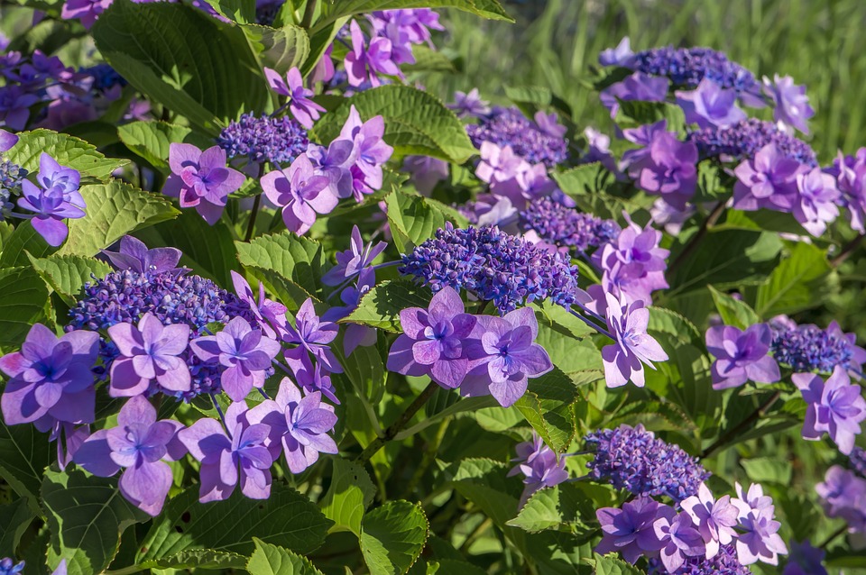 Politische Einigkeit: Österreich kämpft gegen den Gender-Pay-Gap!