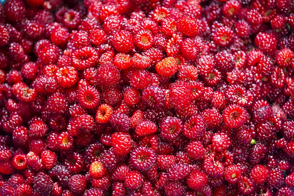 Repair Cafés in Österreich: Gemeinsam gegen den Müll – Jetzt handeln!