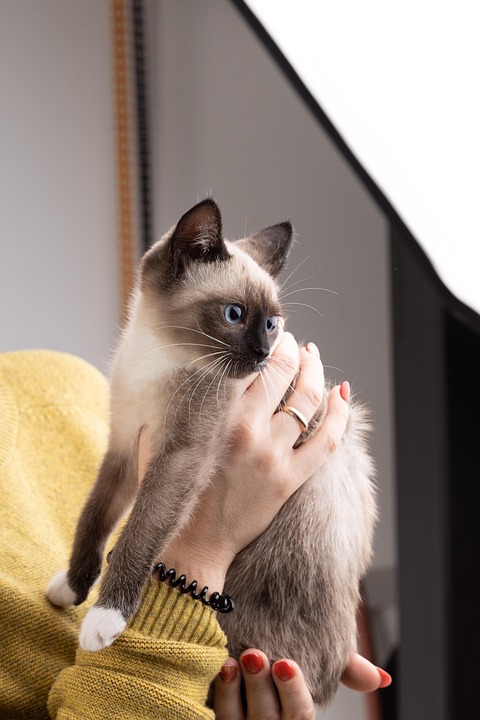 Rettung für die Böden: Warum Regenwürmer unverzichtbar sind!