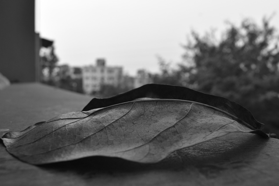 Revolutionäre Gentherapie gegen Hämophilie B: Hoffnung für Wiener Patienten!