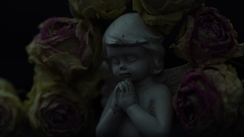 Reza Pahlavi fordert Zusammenarbeit für Demokratie im Iran!