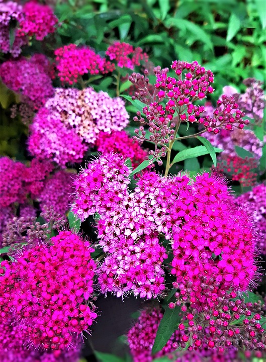 SPAR stärkt Nahversorgung: 23 Unimarkt-Filialen werden übernommen!