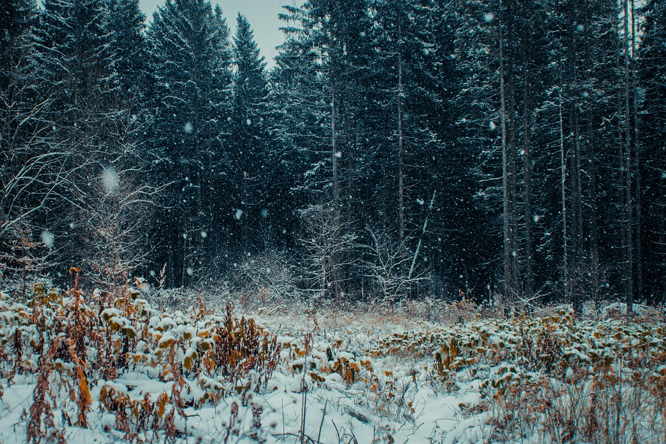 Schneefall sorgt für Chaos: Lkw-Unfälle blockieren A2 und L33 in Kärnten