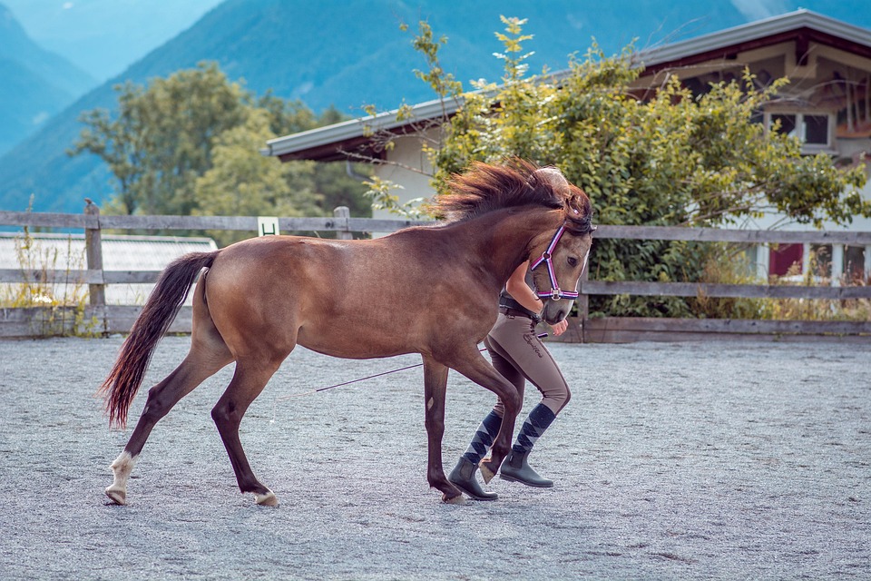 Schockunfall in Stoob: Fahrer verschwunden, Auto im Bach entdeckt!