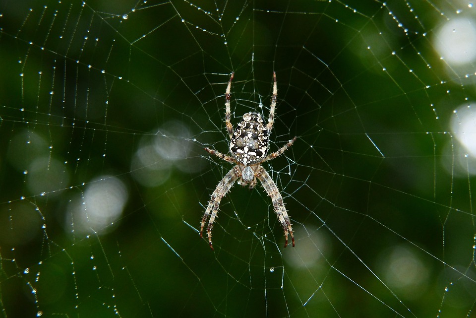 Schreckliche Skiunfälle im Nassfeld: Rettungshubschrauber zwei Mal im Einsatz!