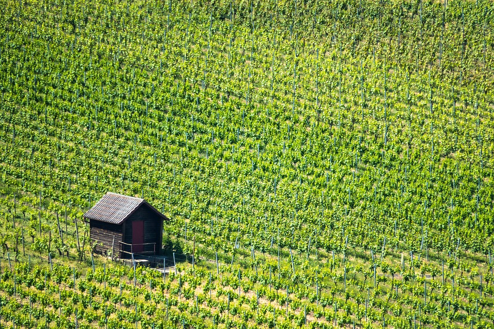 Schutz­hütten in Kärnten: Aufenthaltsabgabe erfolgreich abgewendet!