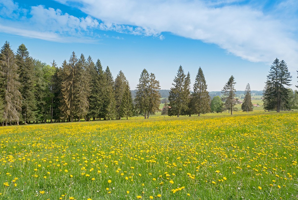 Schweizer Franjo von Allmen: Goldrausch bei Olympia in Cortina!