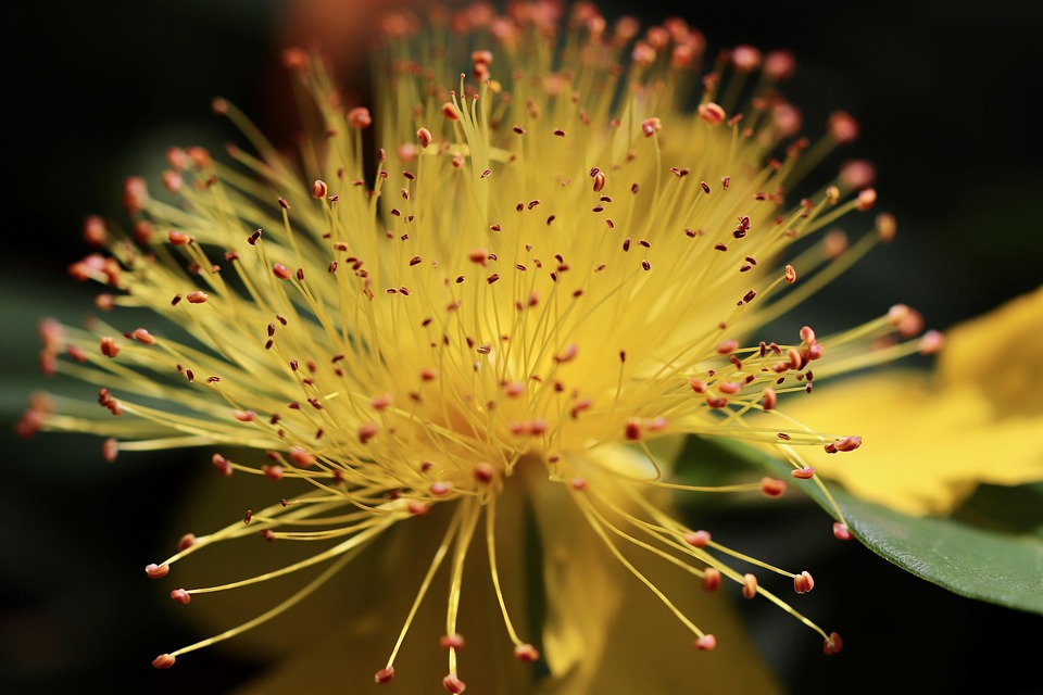 Sharon Stone enttäuscht: Dinner-Pleite vor dem Opernball in Wien!