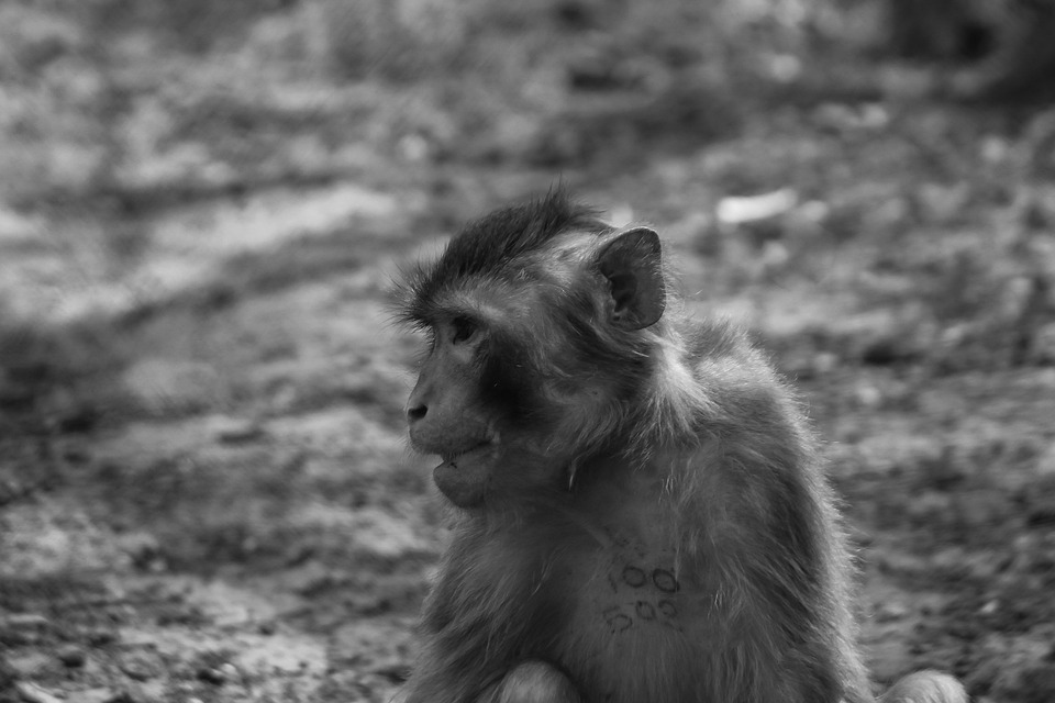 Skandal in Hirtenberg: Häftling stirbt nach katastrophaler Überstellung!