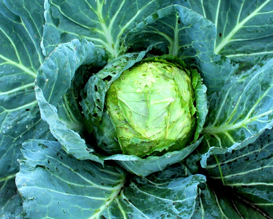 Skandal um Ex-Bürgermeister Köll: Finanzchaos in Matrei aufgedeckt!