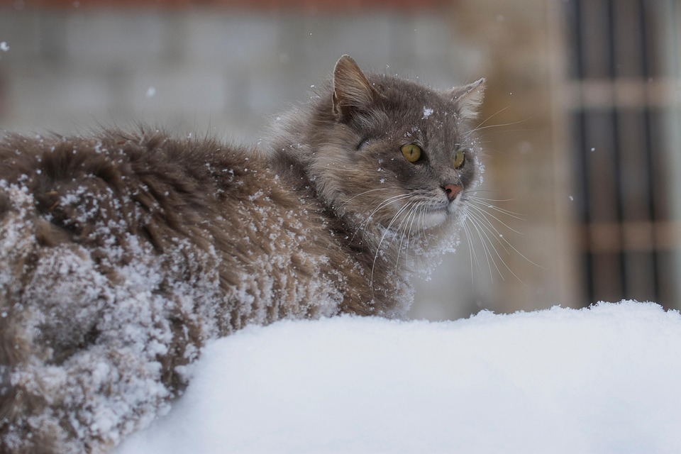 Skyr trifft Monster: Das TikTok-Getränk, das alle überrascht!