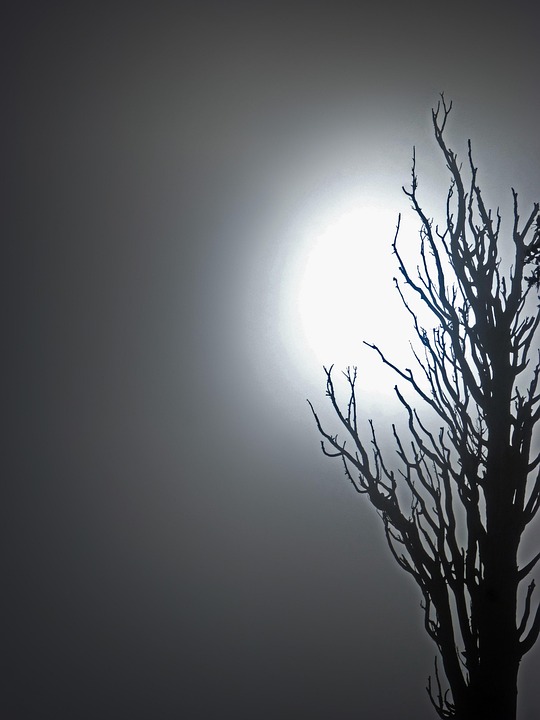 Terror in Lwiw: Polizistin getötet, Stadt von Explosionen erschüttert