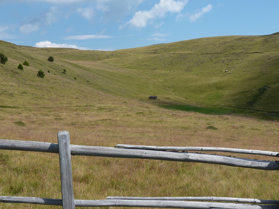 Tiroler Männer in KI-Trading-Falle: Hohe Verluste durch Betrug!