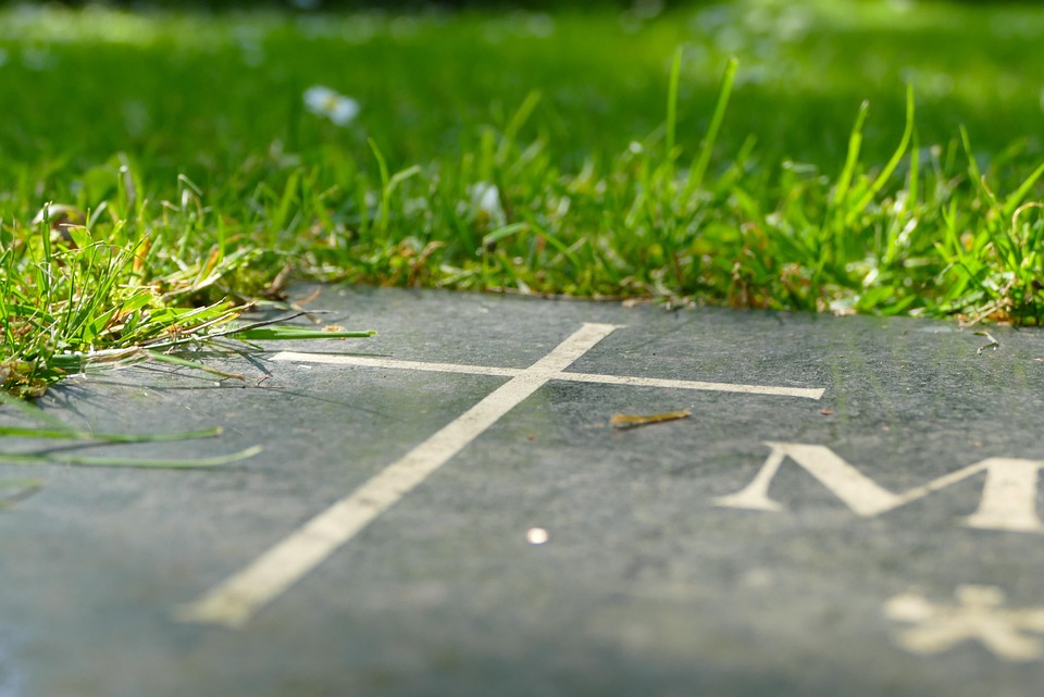 Trauer im Weißen Zoo: Beliebte Kameldame Bianca verstorben!