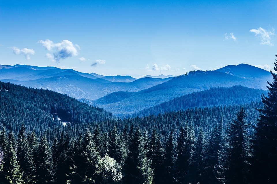 Ukraine boykottiert Paralympics-Eröffnungsfeier wegen russischer Flagge!