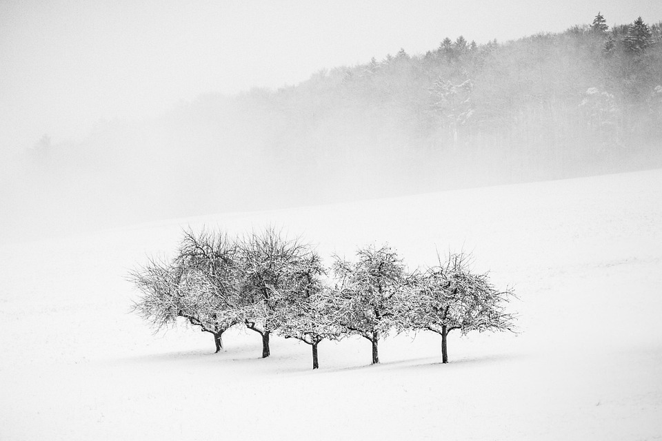 Valentinstag bringt Schnee: Wetterumschwung sorgt für Kältereise!