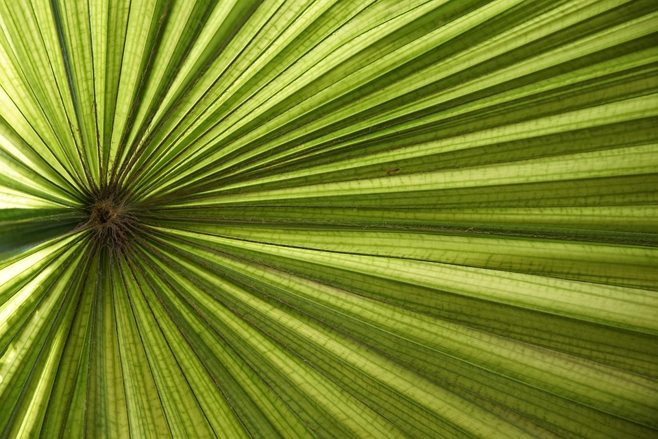WAC-Vortrag begeistert 100 Fans: Ein Blick auf die Fußballgeschichte!