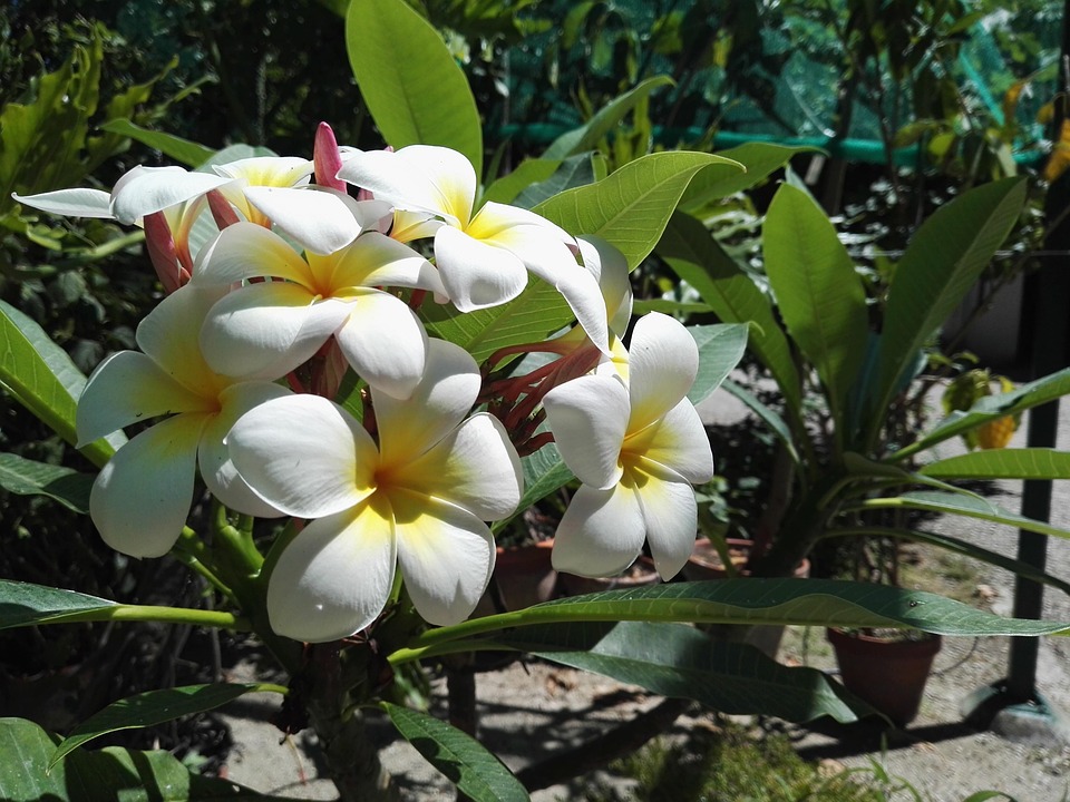 Wärmewende im Fokus: Kostenloses Webinar klärt Rechte für Eigentümer!