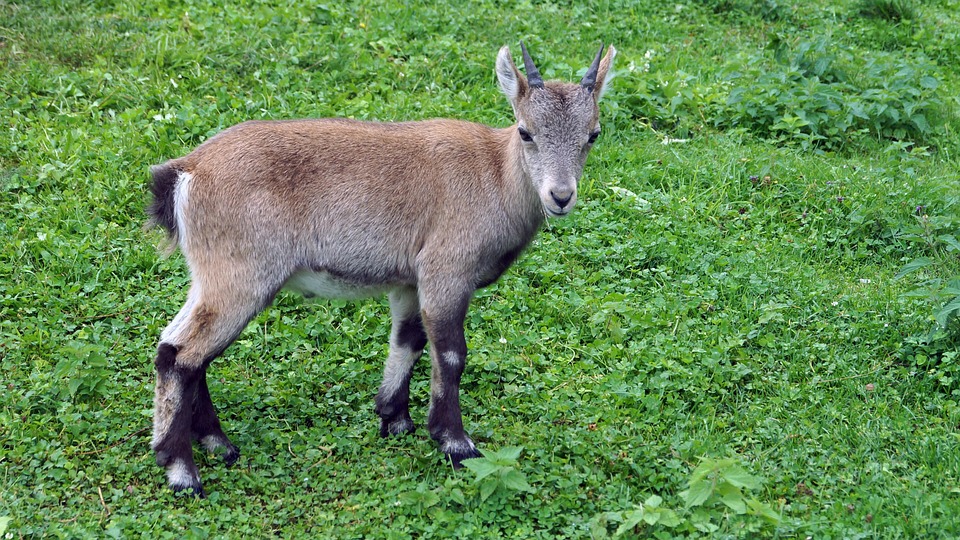 Welches Sternzeichen hat heute die besten Chancen? Ihr Tageshoroskop!
