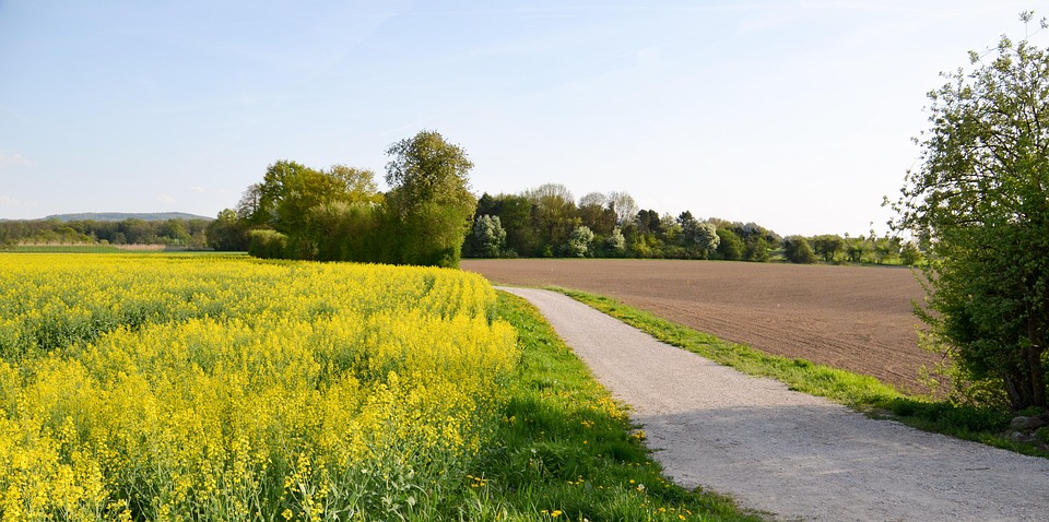 Wien im Aufbruch: Neuer Ring und Integrationskodex geplant!