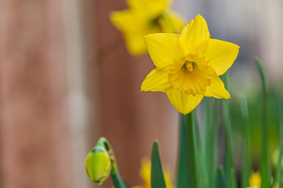 Wiental-Kanal: Umweltschutz durch 2.225 Meter Tunnelbau in Wien!