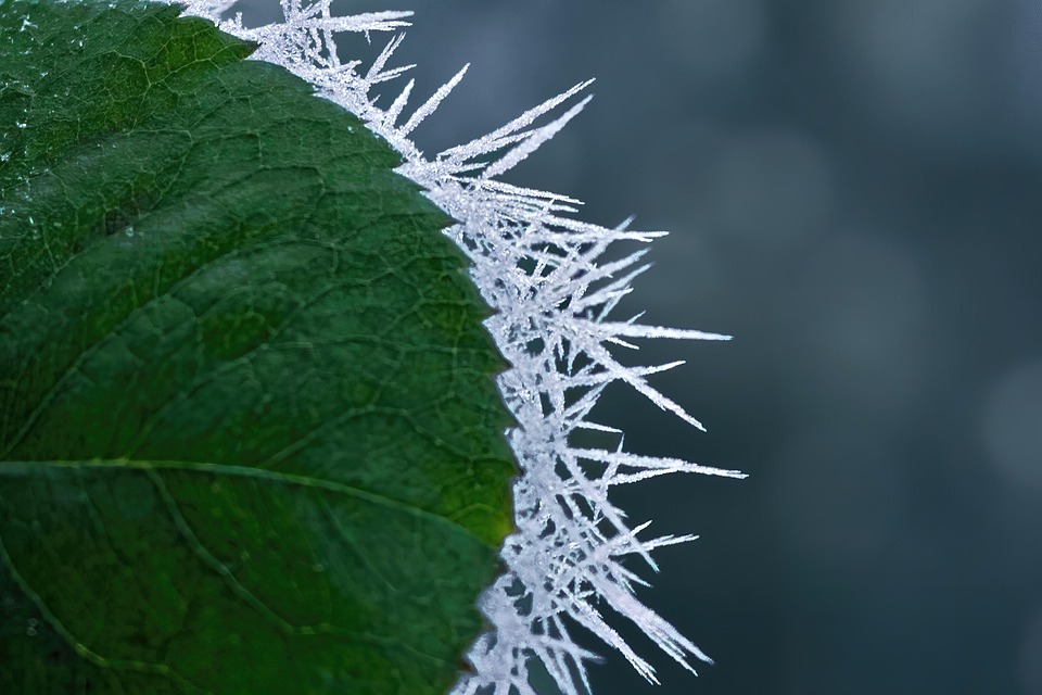 Winter schlägt zurück: Mehr Schnee bis nach Wien erwartet!