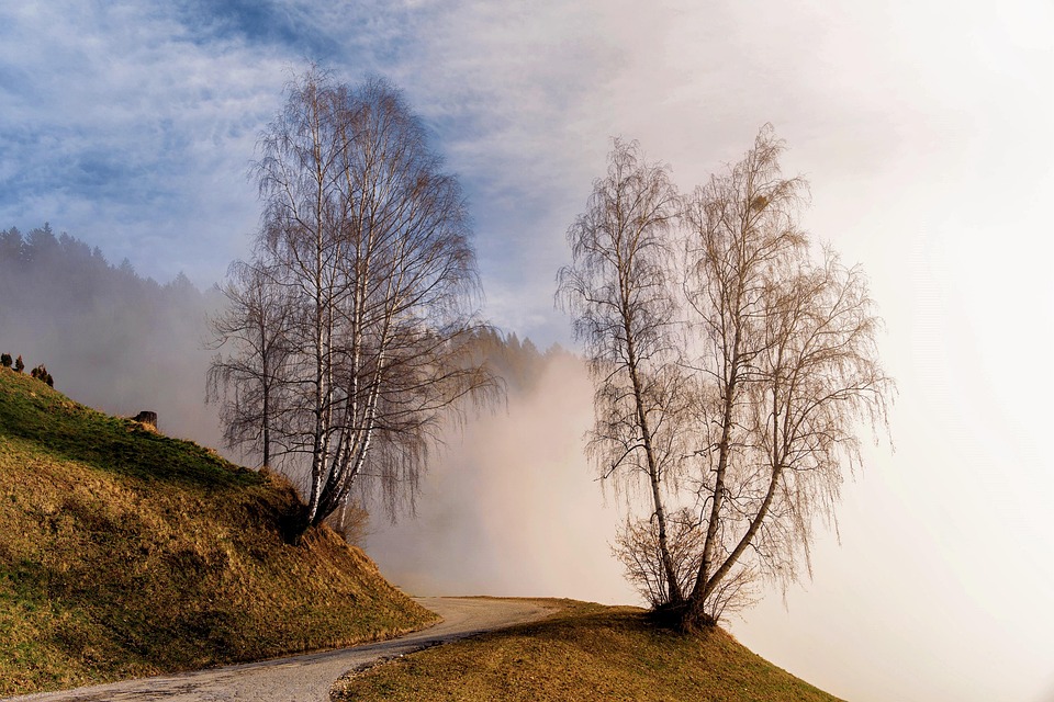 Winterchaos in Kärnten: Feuerwehr im Dauereinsatz nach Schneefällen!