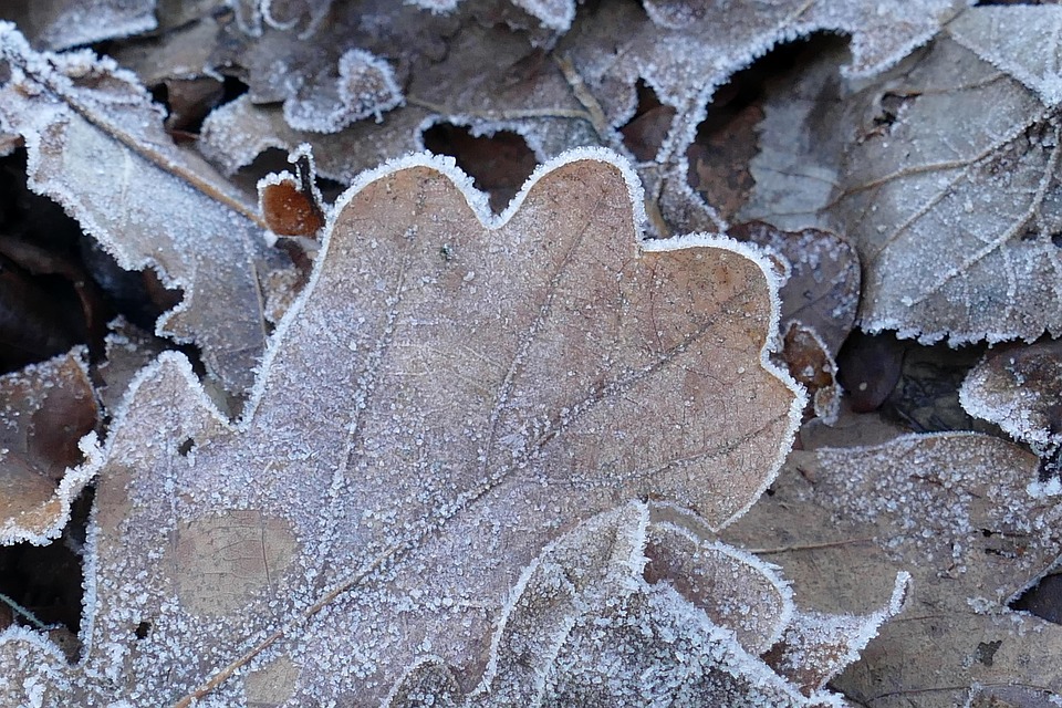Winterchaos in Österreich: Glatteis und Schnee sorgen für Stau!