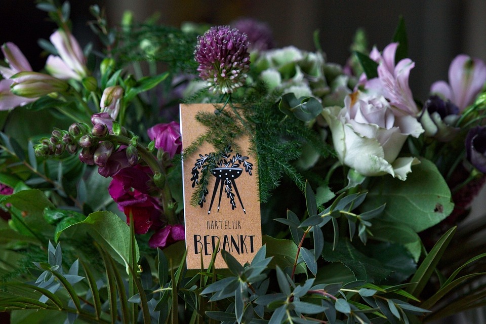 Wohnungsbrand in Wels: Feuerwehr rettet vier Katzen und behandelt 7 Verletzte