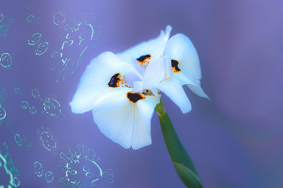 ZDF unter Beschuss: Manipulationsskandal im Heute-Journal aufgedeckt!