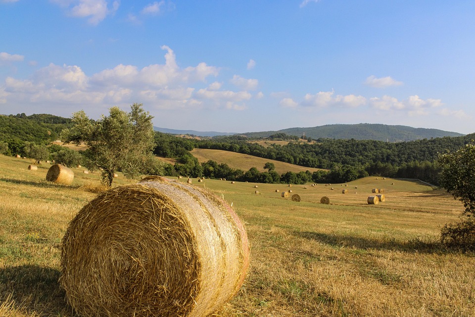 Der glücklichste Tag indischer Bräute kann jahrelange Schulden bringen