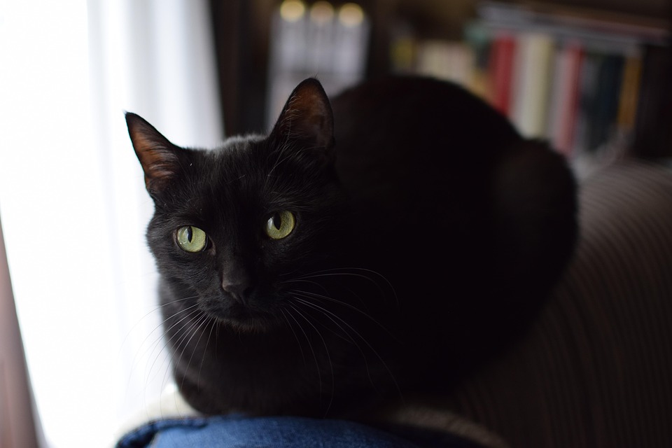 Diese kleine Stadt hat die schlechteste Luft der Welt