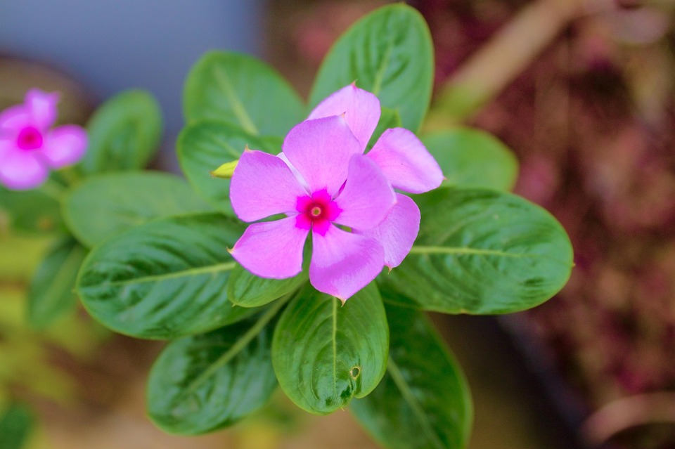 UN meldet: 250 Rohingya nach Bootsunglück im Andamanensee vermisst