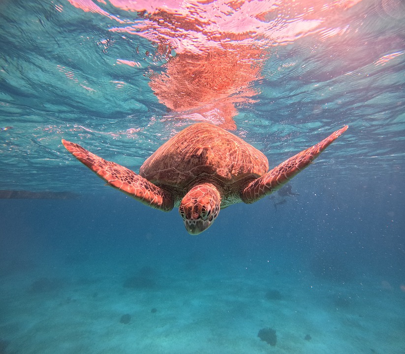 Philippinen beschlagnahmten Cyanid auf chinesischen Booten im Streitgebiet